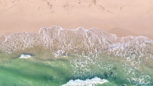 Beach sea palm island tropical ocean sand tree sky water paradise travel nature vacation summer.