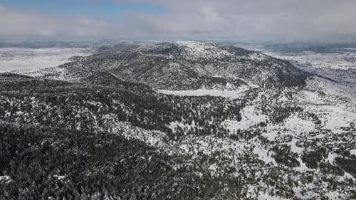 Snowy Nature