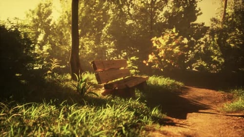 A Park Bench Sitting Under Different Types of Trees and Bushes Around the Bench