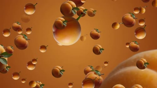 Apricot Fruit Falling Animation. Slow Motion Of Camera Moving Forward To The Apricot Fruits