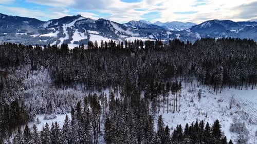 Snow covers the meadows, pine tree woods and mountains.