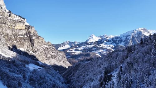 Valle alpino nevado con picos de montañas y árboles