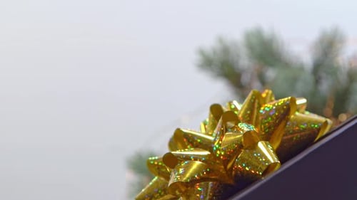 Gold Christmas Bow Decoration on Gift