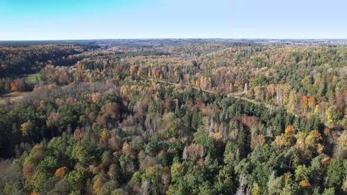 Aerial View of Autumn Forest with River and Bridge