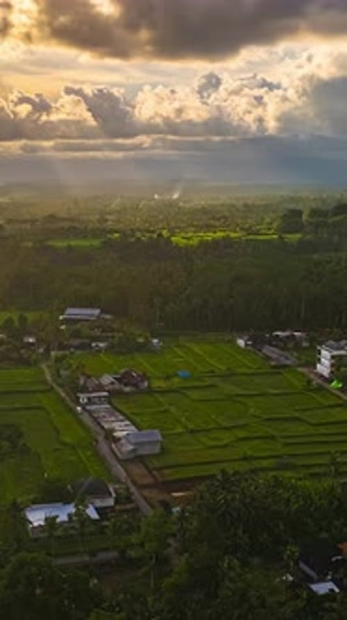 Timelapse de rizières luxuriantes avec le soleil se couchant derrière les montagnes, perspective aérienne