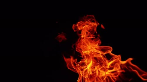 Red dangerous fire leaning to the ground. Campfire burning isolated at black backdrop. Close up.