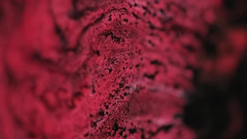 Abstract Macro Background Featuring Red and Black