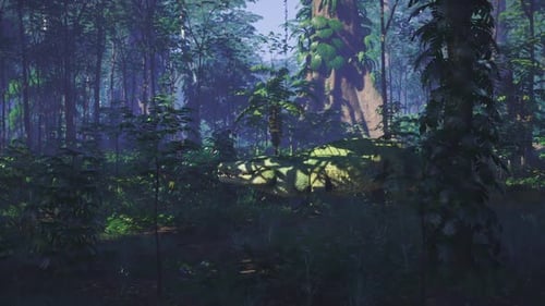 Crocodile se reposant dans une forêt tropicale luxuriante sous la lumière du soleil