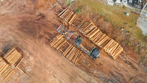 Professional Machinery Loads Wooden Trunks on Stack in Yard