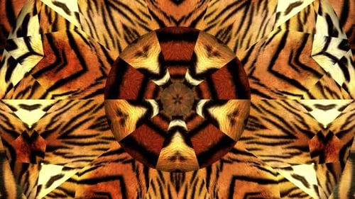 Tiger Fur Kaleidoscope