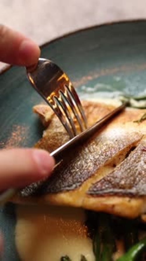 Delicious European food in a restaurant. Close-up