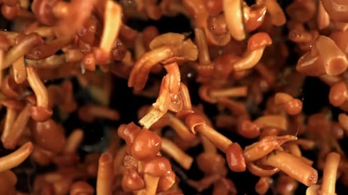 Freshly Cooked Mushrooms Filling the Frame Macro