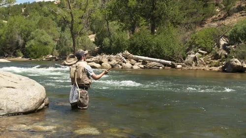Medium shot of a man fly fishing on a clear mountain stream.