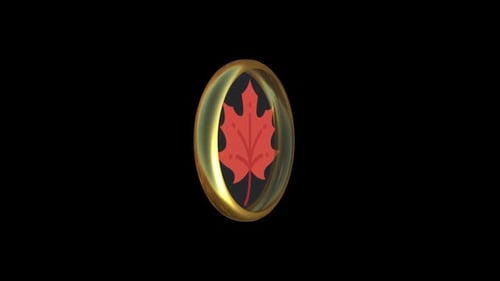 Rotating Golden Maple Leaf 3D Coin Animation