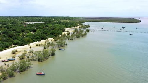 Drone, sailboat for fishing on ocean in island, dock and nature with tropical beach for trawling
