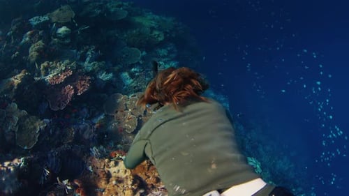 Freediver Swims Underwater in the Sea