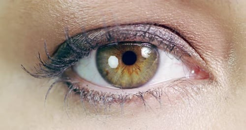She has hypnotising hazel eyes