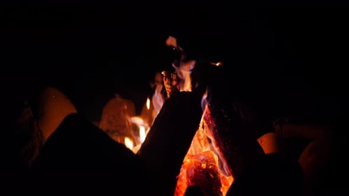Vibrant Campfire Burns Brightly at Night