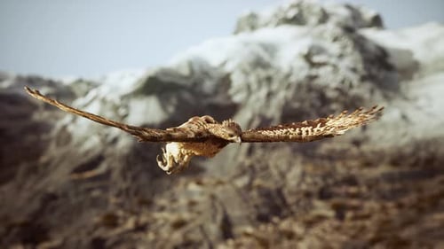 Realistic Eagle Soaring Over Snowy Mountains
