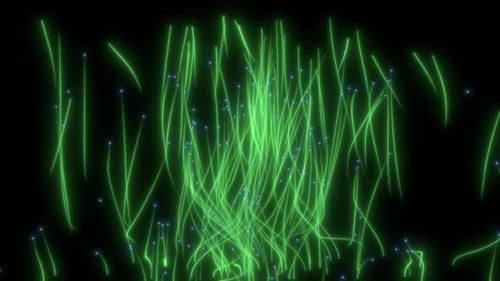 Green growing digital plant