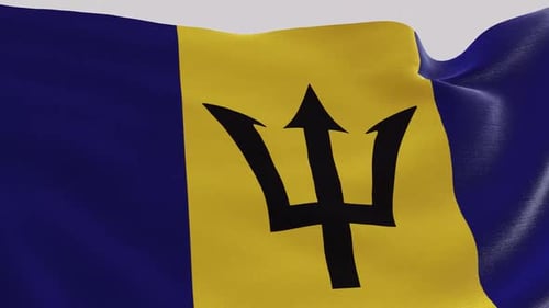 Realistic Waving Barbados National Flag Seamless Loop