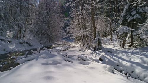 Aerial View Mountain River Flowing Through a Picturesque Snowcovered Forest