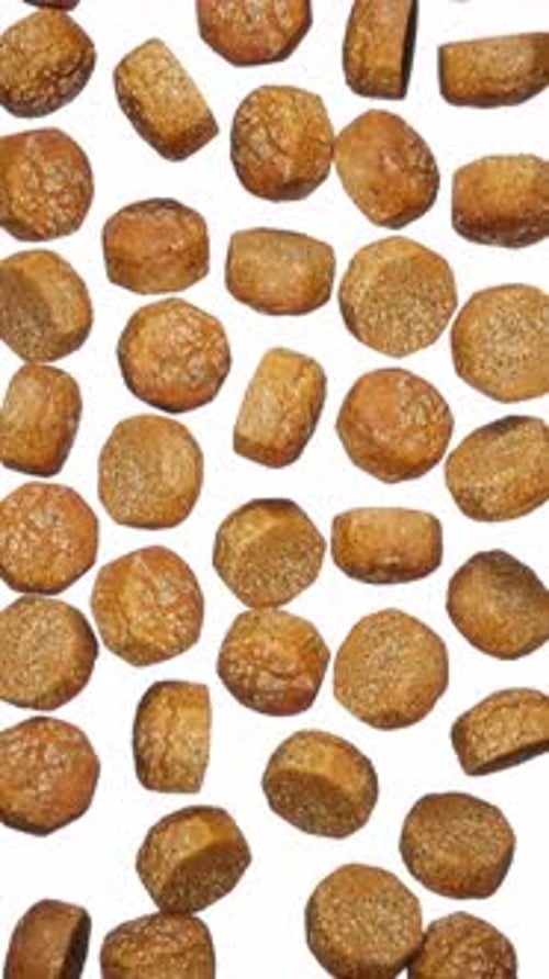 Natural Brown Food Pellets Falling on White Background Vertical Video