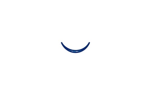 Blind Animated Icon