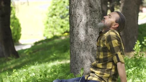 Man Relaxing Against Tree in Sunny Park
