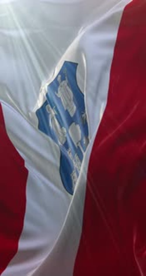 Realistic Flag with Detailed Coat of Arms Waving in Sunlight