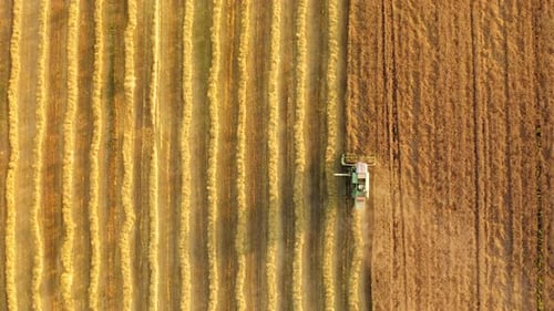 Anbau und Ernte der Pflanzen innerhalb eines landwirtschaftlichen Betriebs