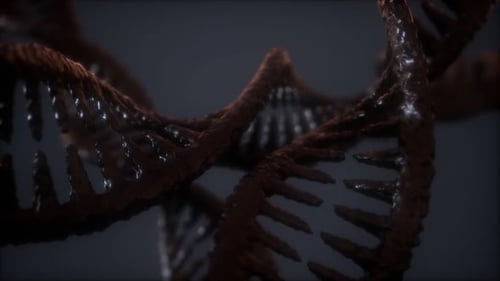 Loop Double Helical Structure of Dna Strand Closeup Animation
