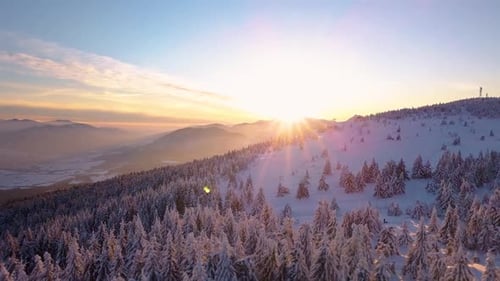 Sunrise Winter Nature Forest Mountain Landscape