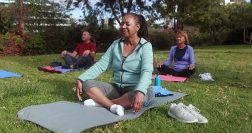 Multiracial senior group enjoys yoga and meditation in a sunny city park