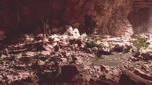 View From Inside a Dark Cave