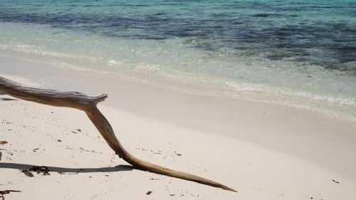 Circuito de playa de la isla Karimunjawa