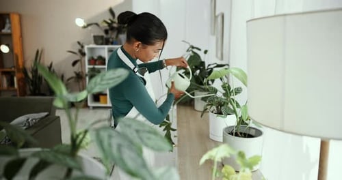 Woman Watering Indoor Plants in Her Home