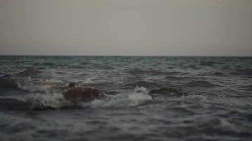 Summer Beach