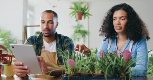 Empresario que usa tableta digital con internet vende flores o plantas en línea. Feliz pareja de jubilados