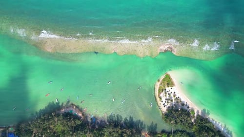 Tropical beach.