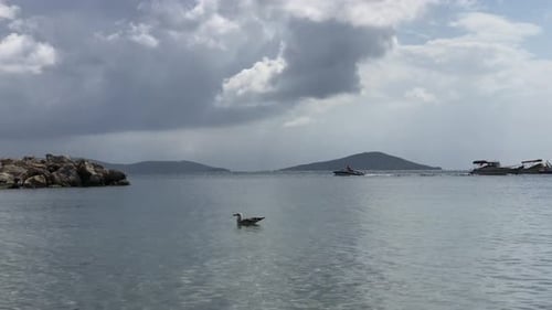 Ocean Beach with sands and sun