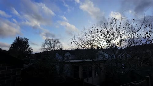 Clouds Pass Over Suburban Rooftops with a Tree