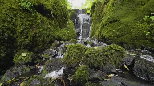 Close up of mossy rocks and waterfall in lush forest