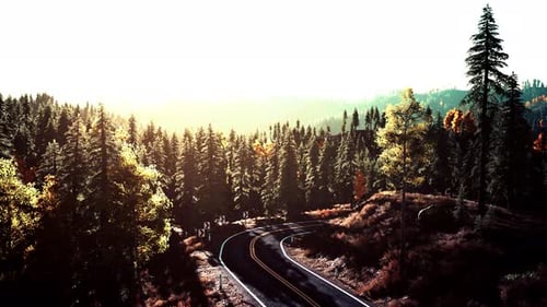 Uma estrada serena que serpenteia por uma floresta pitoresca ao pôr do sol