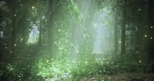 Enchanted Forest with Glowing Lights and Lush Greenery in Daytime