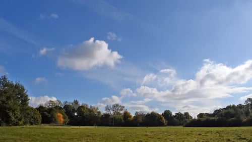 Sunny park with beautiful blue sky A. Fluffy clouds in a beautifully lit natural park scene. No time