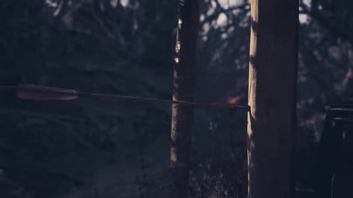 An Arrow Striking a Wooden Target in a Forest During Twilight Hours