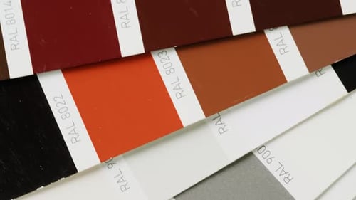 Color Pallet Choosing the Color By Designer Furniture Real Estate or Construction Works Creative
