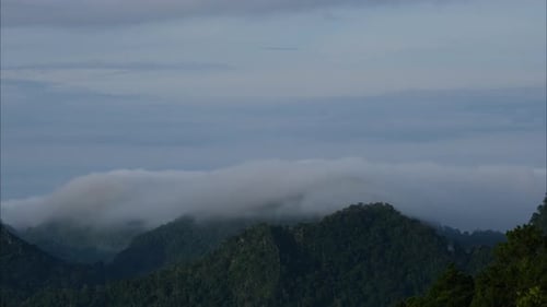 Aerial view of sea of fog on tropical mountains in the early morning.