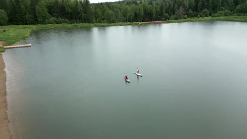 Stunning Aerial View of Paddle Boarders Enjoying a Serene Lake Surrounded By Lush Greenery Clip